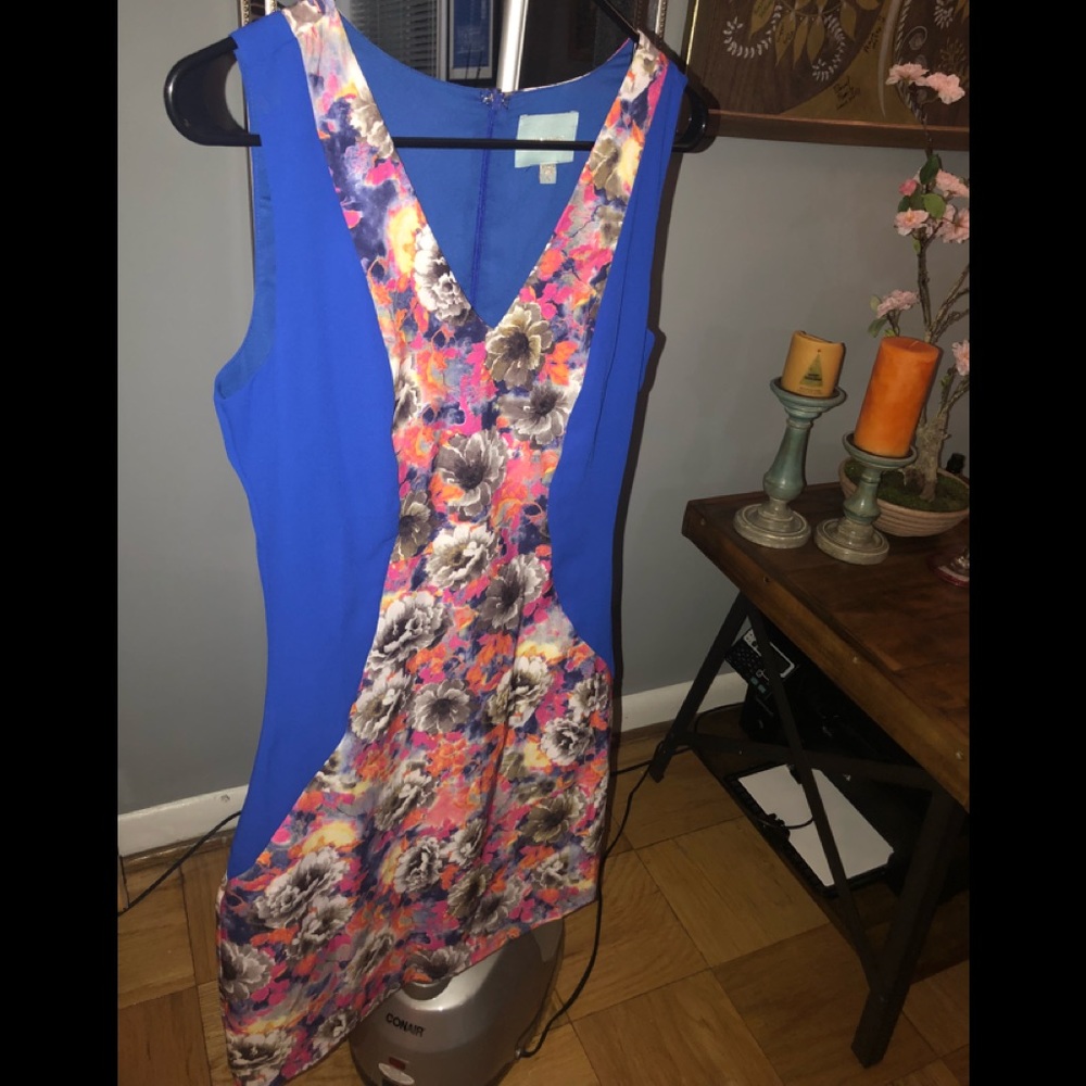 NEW Royal and floral dress! So pretty!